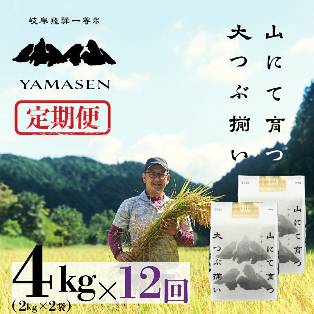 【ふるさと納税】 新米予約 【定期便】山仙（いのちの壱） 4kg (2kg×2袋) × 12回 山仙組合（有限会社 すがらたいす） 下呂市 金山産 48キロ 米 2025年産 お米 精米 白米 ご飯 ごはん 農家直送 送料無料 新米 令和7年 令和7年産 2025年産 新米予約 先行予約
