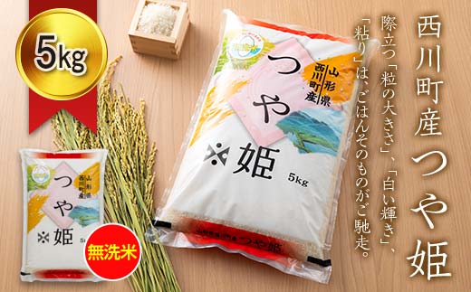 FYN6-273 令和7年度 山形県 西川町産 無洗米 つや姫 5kg 精米 白米 米 こめ ライス ごはん ご飯 ブランド米 銘柄米 家庭用 自宅用 贈答用 お取り寄せ 食品 時短 節水 2025年 西川町 月山