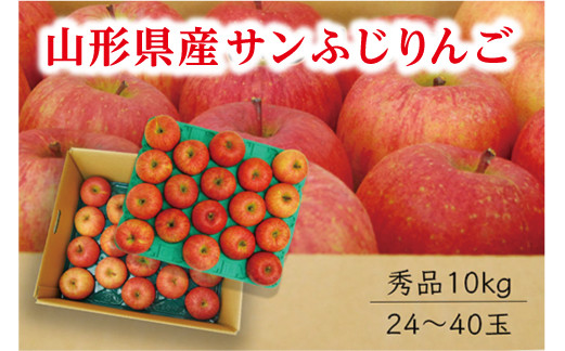 
《先行予約 2024年度発送》【山形県産】サンふじりんご秀品10kg りんご リンゴ 林檎 デザート フルーツ 果物 くだもの 果実 食品 山形県 FSY-0410
