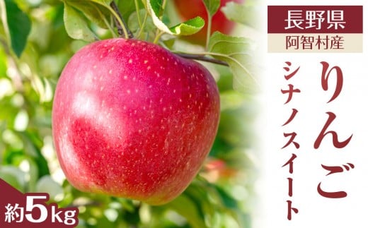 【令和7年10月中旬～順次発送】南信州阿智村　りんご（シナノスイート）約5kg｜  果物 フルーツ 林檎 リンゴ 信州 長野