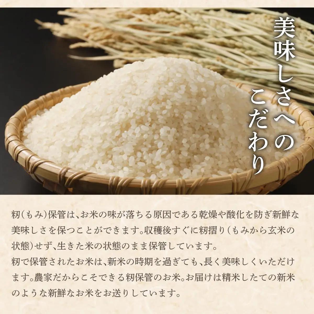 令和7年産 アグリプロ未来のゆめぴりか 5kg【a178-001】
