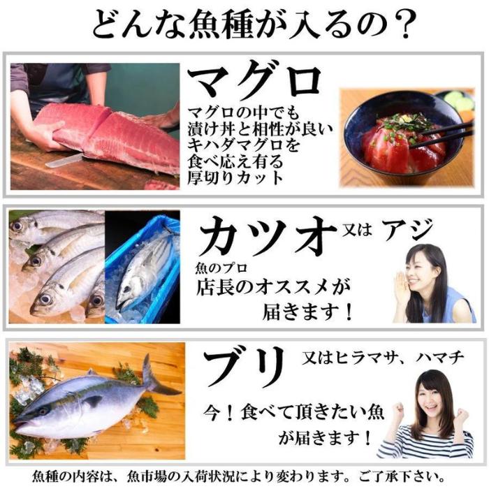 漬け丼 3種×2パック 計6食セット | 漬け丼 海鮮 惣菜 冷凍 真空パック 小分け 海鮮丼 海鮮セット 詰め合わせ 旬の鮮魚 ハマチ カンパチ カツオ 鯖 サバ ヒラマサ 平政 マグロ アジ ヒラ