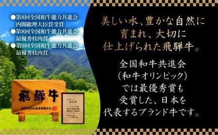 飛騨牛 焼肉 6種食べ比べ (100g×6）焼肉|牛肉 FH017-CP01 FN-Limited-PR