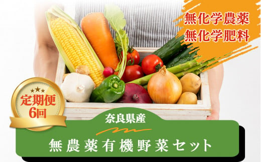 
【定期便6回】生命の農法（無化学農薬・無化学肥料栽培）季節の野菜セット
