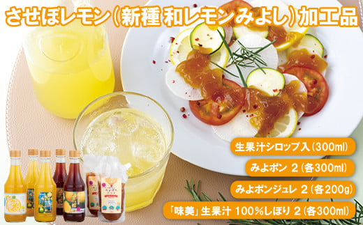 幻の香酸かんきつ味美(新種和レモン)加工品