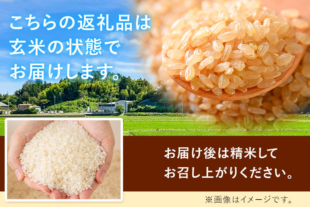 令和8年産 新米予約 つや姫 玄米 30kg 宮城県名取市産 お米 [つや姫 ブランド米 お米 玄米 米どころ 食卓 おにぎり 宮城県 名取市 名取市産]