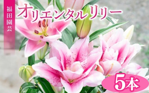ユリ オリエンタルリリー 5本セット 花束 贈り物 ギフト プレゼント 誕生日 母の日 父の日 敬老の日 記念日 お祝い 結婚式 ウェディング ブーケ 華やか 大輪 香り 優雅 エレガント つぼみ ピンク 白 高級 切り花 福田園芸 花好き こだわり 栽培 メッセージカード ラッピング 安芸市 高知県