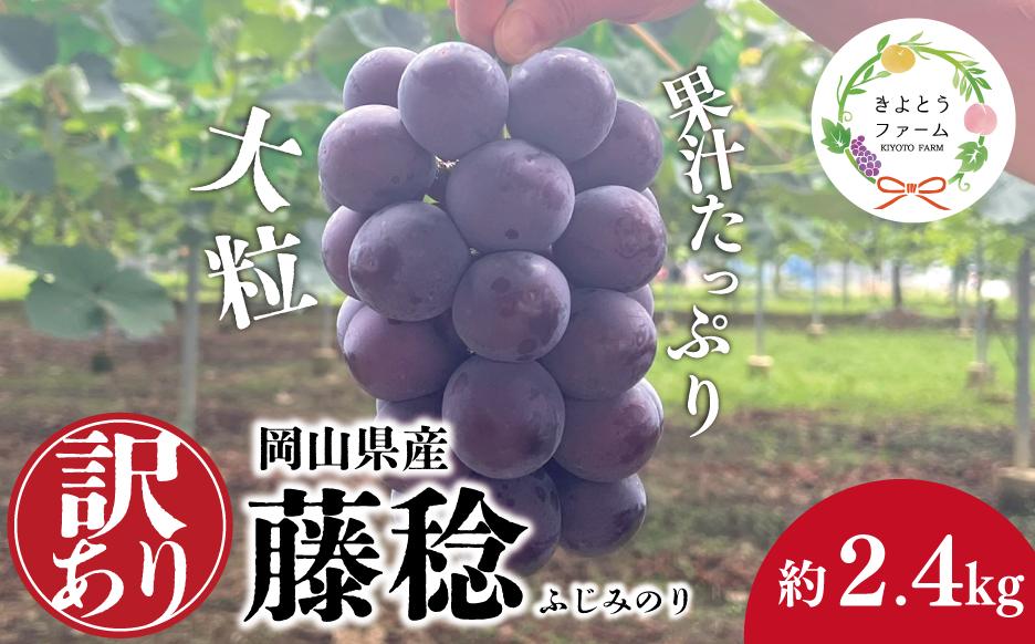 
            【きよとうファーム】訳あり 種なし ボッケーネ(藤稔) 約2.4kg (岡山県産) /  岡山 真庭 ピオーネ 高級 2.4kg 2025 真庭市 大粒 葡萄 果物 フルーツ 濃厚 人気 数量限定【KF-B090-01】
          