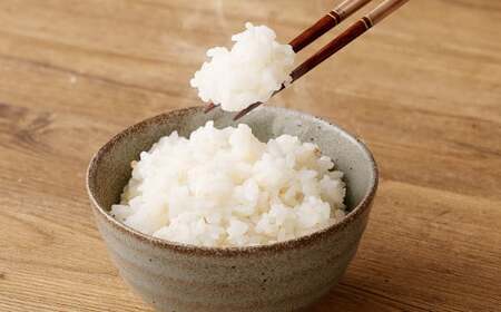 【5分】 夢つくし （特別栽培米） 約10kg 福岡県産 令和7年産 米 こめ コメ