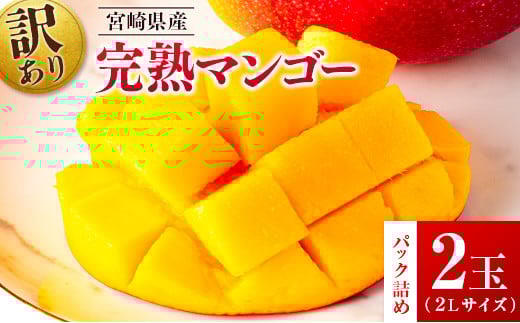 先行予約 ＜訳あり＞ 完熟マンゴー 宮崎県産 2Lサイズ 2玉 フルーツ 果物【B615-26】