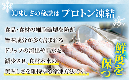 【若狭の灰干し】甘鯛（プロトン凍結）