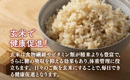 【定期配送10ヵ月】ホクレン ゆめぴりか 玄米6kg（3kg×2）
