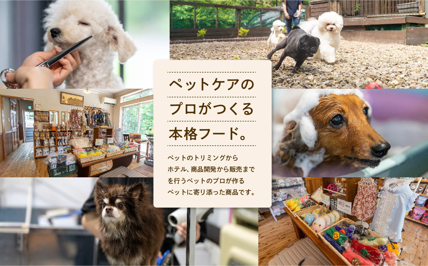 愛犬ごはん （馬肉） 6食セット 愛犬 ワンちゃん ペットフード 犬 ネコ 国産 おやつ ペット 馬肉 手作り ドッグフード おすすめ お中元 お歳暮 ギフト 二本松市 ふくしま 福島県 送料無料【株