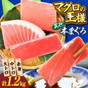 【ふるさと納税】【年内発送の受付は12月25日まで！】天然 本まぐろ 大トロ・中トロ・赤身 約200g×6柵 約1200g 【横須賀商工会議所 おもてなしギフト事務局（本まぐろ直売所）】天然まぐろ まぐろ マグロ 鮪 本マグロ 大とろ 中とろ とろ トロ 赤身 柵 年内発送 [AKAK019]