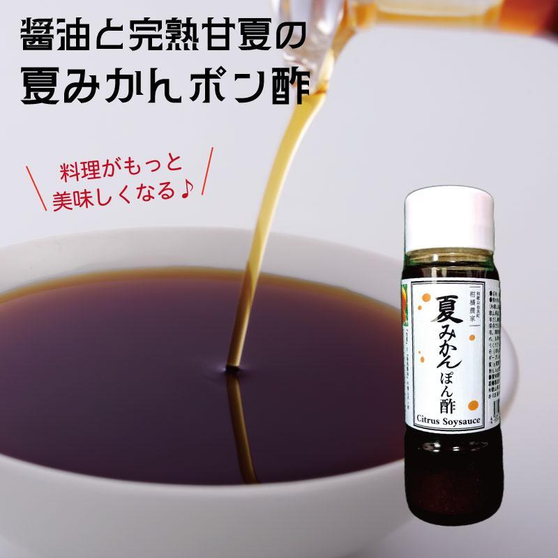 湯浅の醤油の深いコクと完熟甘夏の自然な酸味「夏みかんポン酢」【16本】　CE137