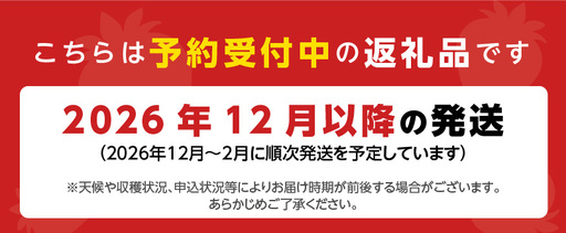 福岡県産あまおういちご　約280g以上×2パック（大粒）【12月〜2月発送】_いちご あまおう 約280g 以上 × 2パック 約560g 大粒 果物 フルーツ みずみずしい ジューシー 甘み 酸味 