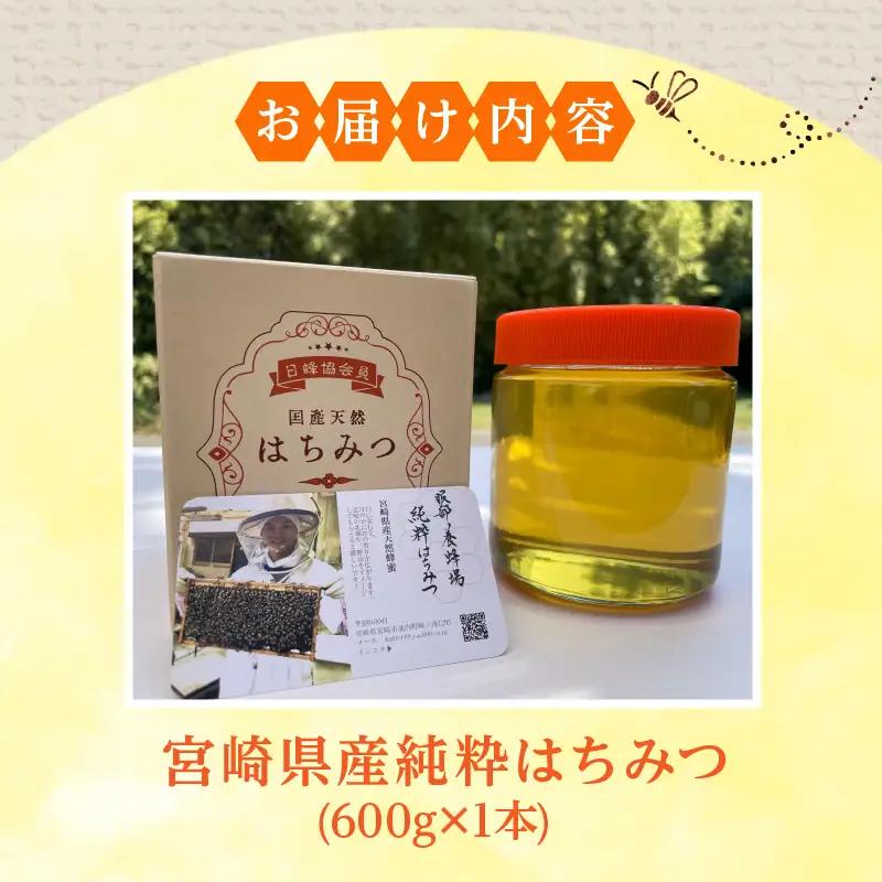 【数量限定】宮崎県産純粋はちみつ(600g×1本) はちみつ 純粋 蜂