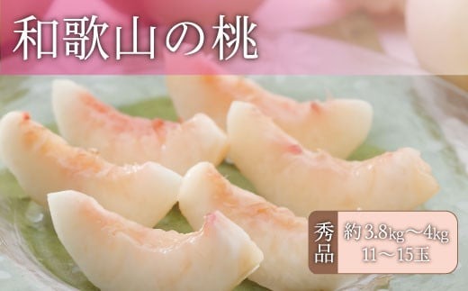 和歌山の桃 秀品 [約3.8～4kg] (サイズ・品種おまかせ) ※2026年6月中旬～2026年8月中旬頃に順次発送予定　紀伊国屋文左衛門本舗 和歌山 もも モモ 桃 果物 フルーツ 人気 産地直送 和歌山県 お取り寄せ【kztb800B】