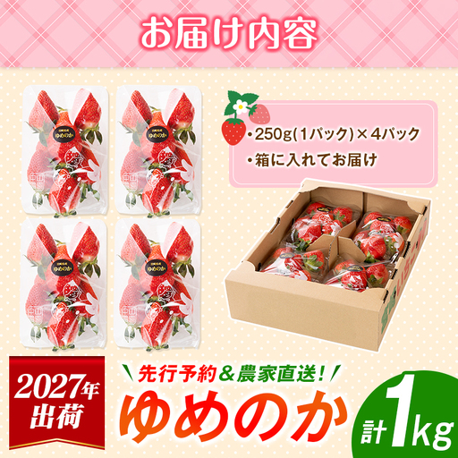 ＜2027年出荷＞先行予約 宮崎県産 いちご「ゆめのか」計1kg フルーツ 期間限定 デザート ご褒美【B701】
