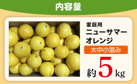 ＜木下さんちのニューサマーオレンジ 家庭用 約5kg（大中小サイズ混み）＞ 柑橘類 日向夏 ミカン 蜜柑 果物 くだもの フルーツ 国産 特産品 木下農園 愛媛県 西予市【常温】『2027年4月上旬～