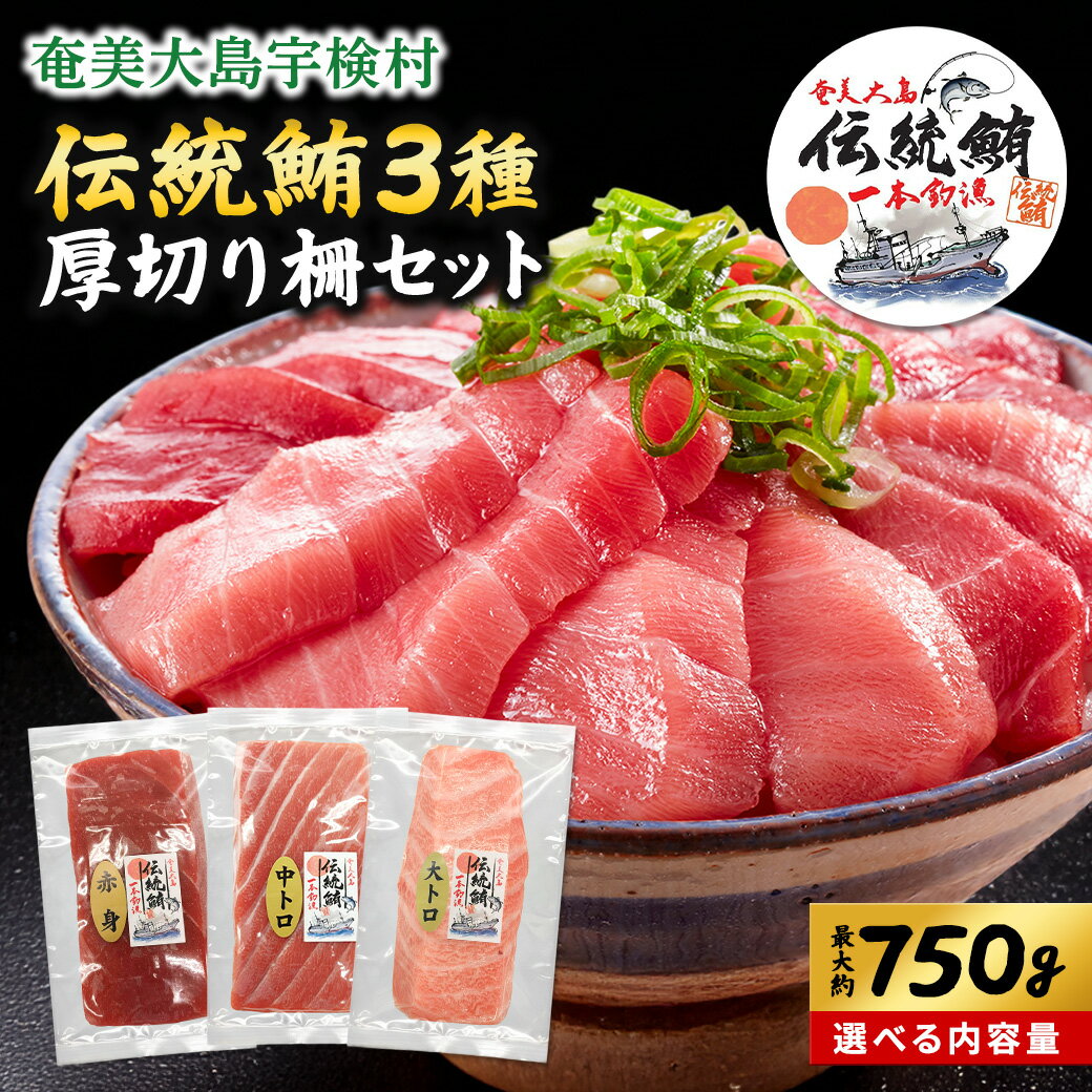 【ふるさと納税】伝統鮪 厚切り 柵 セット 冷凍（選べるセット） 本まぐろ おさしみ 大とろ 中とろ 赤身 国産 ブロック 寿司 海鮮 魚介 さかな 良質 脂 奄美 大島 宇検村 鹿児島県 送料無料