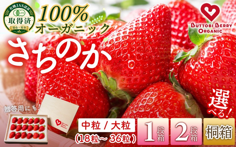 
                  オーガニック いちご 中粒 約18粒 約36粒 桐箱 大粒 約12粒 約24粒  《1月末から5月発送》 有機JAS認証 ORGANIC 甘い 苺 イチゴ 果物 フルーツ 産地直送 新鮮 ストロベリー ジャム スムージー 期間限定 徳島 無農薬 完全無農薬 人気 ギフト プレゼント 贈答用 ケーキ スイーツ
                