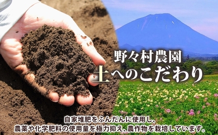北海道 洞爺湖町産 新じゃがいも とうや 約20kg  Mサイズ以上混載 2026年10月初旬より順次出荷 北海道産 新じゃが じゃがいも いも ジャガイモ 馬鈴薯 黄爵 芋 旬 野菜 農作物 送料無