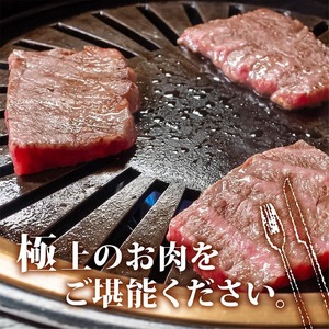 【定期便4回】土佐黒毛和牛モモ肉焼肉用 計3.2kg（800g×4ヶ月) | たけうちミート定期便3Pコース モモ肉 最上位等級 A4 A5  焼き肉 やきにく 小分け 冷凍 国産 ブランド 和牛 和