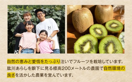 キウイ 【先行予約】【2026年11月上旬から順次発送】キウイフルーツ ヘイワード 大玉(3L?4L玉) 約150g×16個 フルーツキャップ付き 先行予約 11月発送 大玉 完熟 グリーンキウイ 甘酸っぱい 旬 国産 西村農園 愛媛県大洲市/西村農園[AGDC003] キウイ キウイフルーツ 果物 くだもの フルーツ 大洲市産 産地直送 おすすめ 人気 お取り寄せ 送料無料 贈答 ギフト