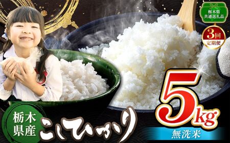 【定期便3回】お米 こしひかり 無洗米 5kg