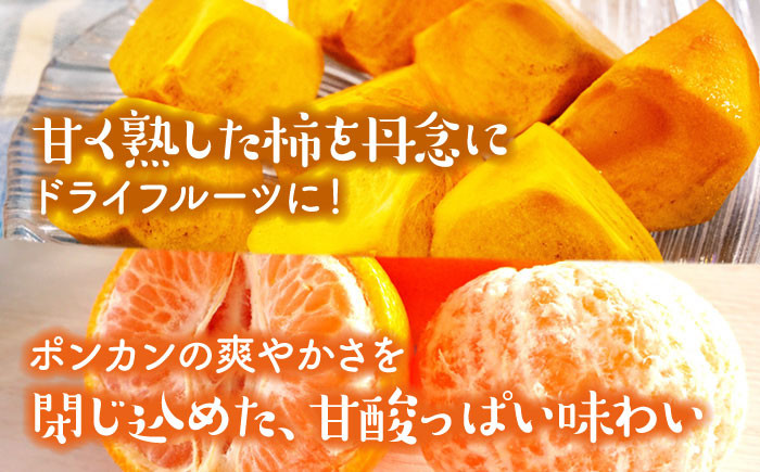 ドライフルーツ４種セット（いよかん・ポンカン・栗・柿）