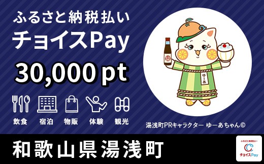 
            宿泊・食事・買物・品交換などに使える！湯浅町 チョイスPay 30,000ポイント【会員限定のお礼の品】
          
