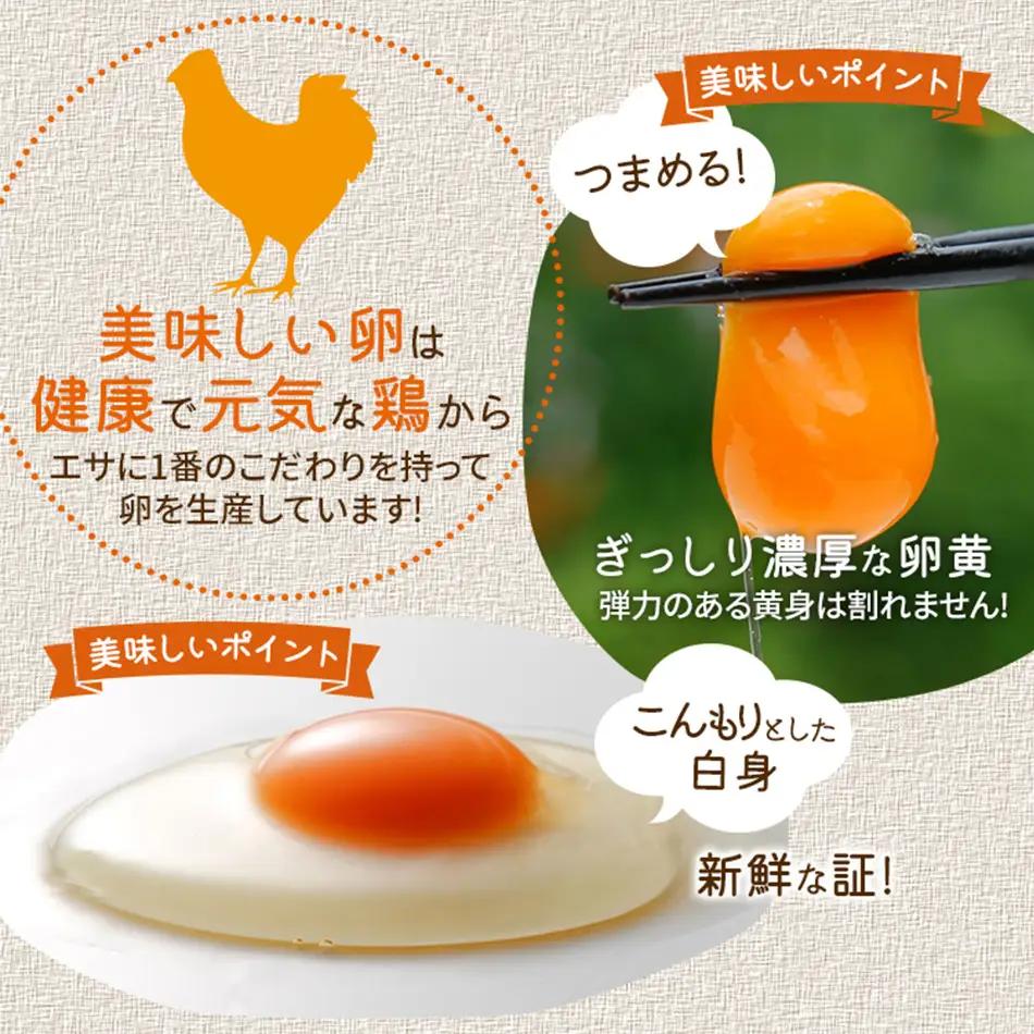 たまご前期定期便 6回発送（初回のみ醤油付き・たまご20個）20個×6回 合計120個 定期便 6ヶ月 卵 青柳たまご 送料無料 【2027年1月～6月の計6回お届け】