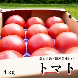 トマト 4kg 化粧箱入 農家直送 箱入りトマト 完熟トマト トマトたくさん トマト４ｋｇ 嵯峨根農園のトマト ハウス栽培のトマト 美味しいトマト とまと tomato 箱入トマト トマト2箱 ハウストマト トマト完熟 トマト直送 評判のトマト 農家直送トマト 産地直送トマト 濃厚トマト 大玉トマト トマトソース トマト料理 トマトピューレ 人気トマト リコピン 夏野菜 野菜 京都 舞鶴 嵯峨根農園 とまと トマト tomato とまと トマト とまと トマト とまと トマト とまと トマト とまと トマト