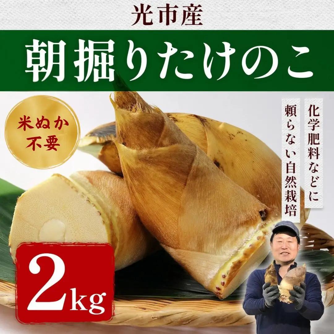 AW0101 たけのこ 朝掘り 2kg 米ぬか不要【先行予約】2027年4月順次発送 筍 タケノコ 国産 野菜 旬 新鮮 採りたて 煮物 味噌汁 炊き込みご飯 山口県 光市 室積たけのこ園