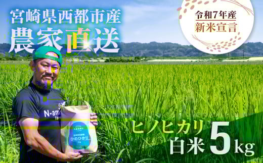 【令和7年産新米・先行予約】ヒノヒカリ 5kg ※10月中旬以降順次発送予定 精米済み 新米 ヒノヒカリ お米 精米 5キロ 米 ライス こめ おこめ 5kg＜1.3-23＞