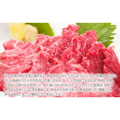 ふるさと納税 南阿蘇村 【国内肥育】国産赤身馬刺し320g+タレ100ml付き《30日以内に出荷(土日祝除く)》
