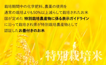 【令和5年産】こしひかり 10kg【白米】減農薬・減化学肥料 「特別栽培米」地球にやさしいお米[A-003008]