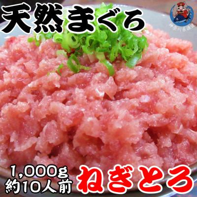 ふるさと納税 三浦市 神奈川県漁連　天然マグロ　ネギトロ　1kg(500g×2パック)