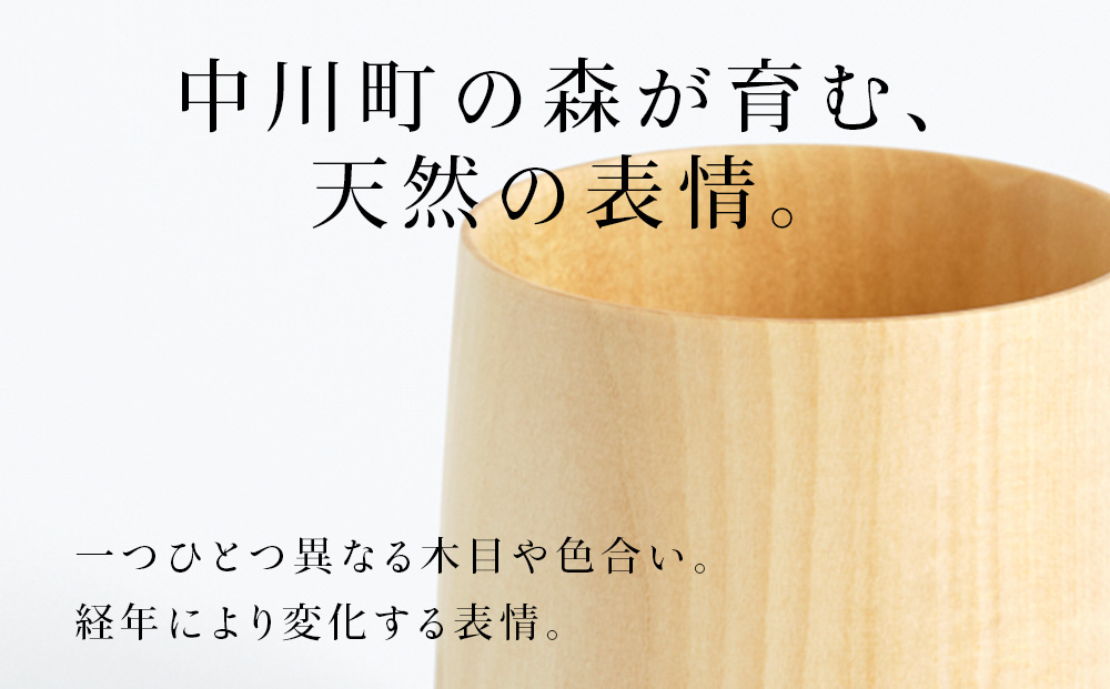 なかがわのタモ　たてかけハンガーI