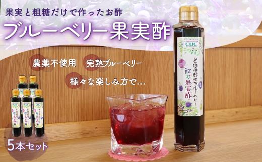 
KT005 ＜果実と粗糖だけで作ったお酢＞飲むブルーベリー果実酢　5本セット ふるさと納税 ブルーベリー お酢 酢 健康 美容 果実酢 ソーダ 水割り 千葉県 木更津 送料無料
