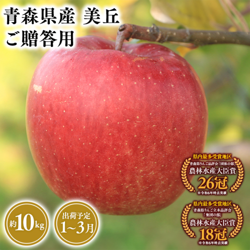2027年1～3月発送　贈答用美丘10kg【青森県 平川市 そと川りんご園】