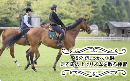 乗馬クラブクレイン茨城 45分しっかり 乗馬体験チケット