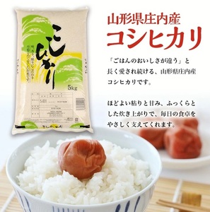 SA2851　令和7年産【精米】庄内産 コシヒカリ　5kg(5kg×1袋) SA