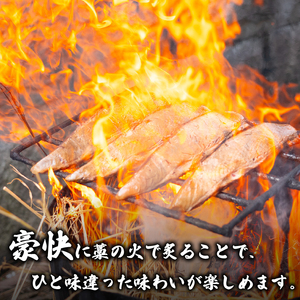 【 かつおたたき 】 かつおたたき12ヶ月