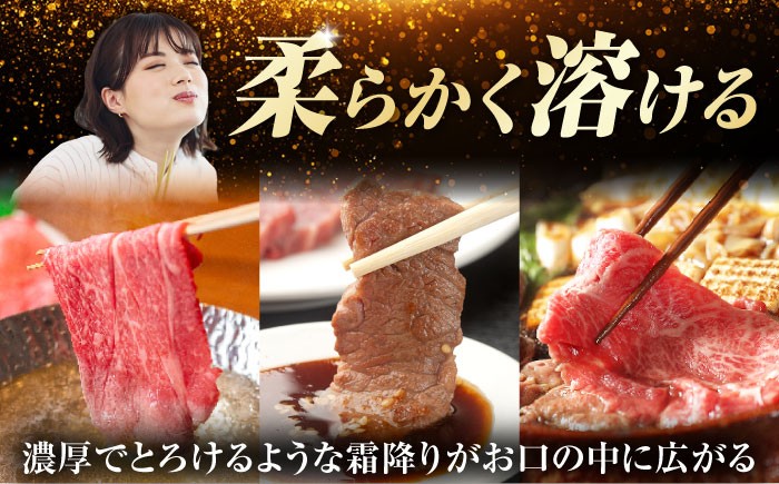 定期便 特選 飛騨牛 肩ロース リブロースステーキ しゃぶしゃぶ 焼肉 すき焼き 牛肉 飛騨牛 和牛 白川町
