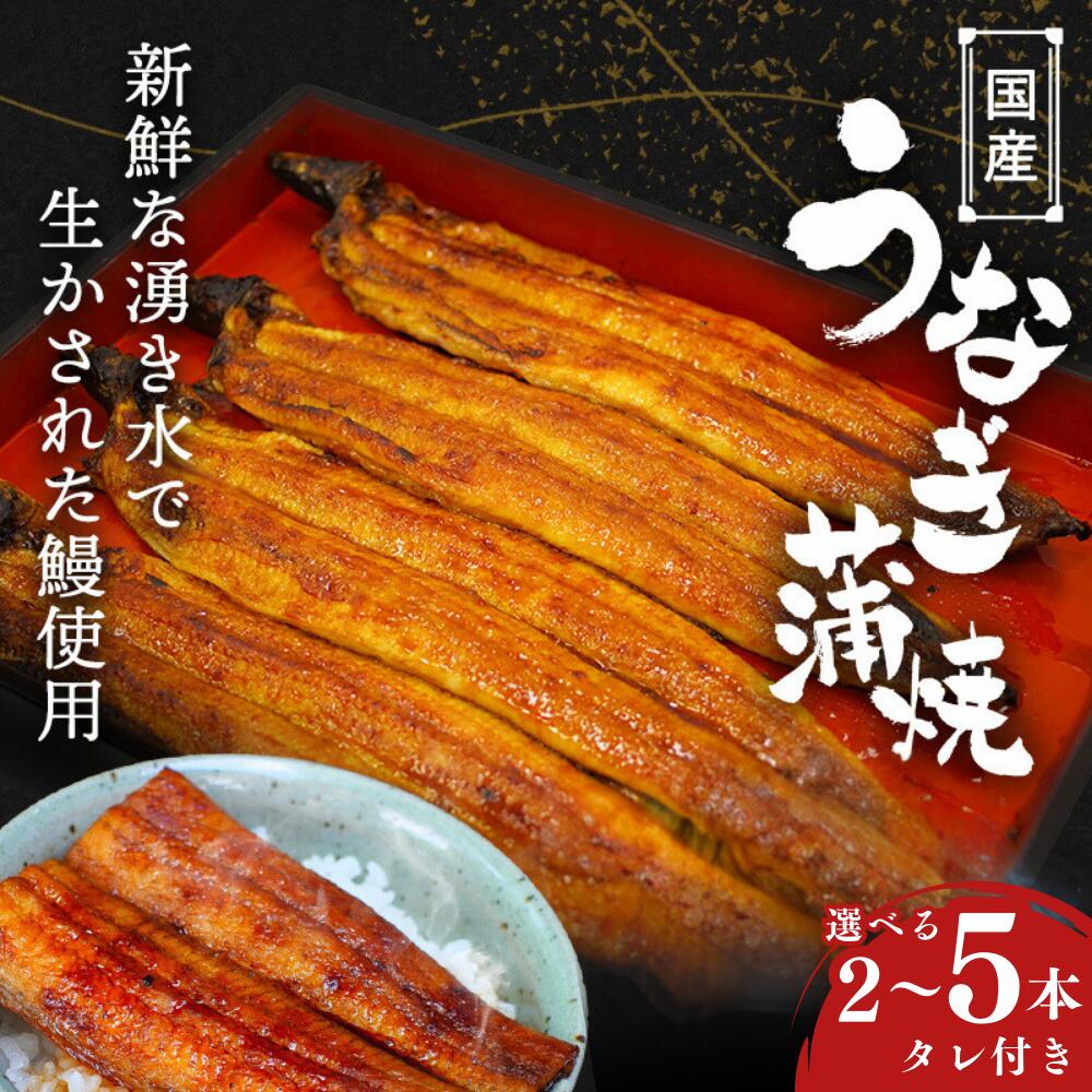 【ふるさと納税】 うなぎ 国産うなぎ蒲焼 タレ付 / 和歌山 田辺市 国産 国産うなぎ 国産鰻 鰻 蒲焼 かば焼き 土用の丑の日 冷凍