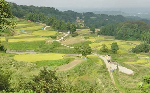 75-BY123【3ヶ月連続お届け】新潟県長岡産コシヒカリ山古志地域棚田米12kg