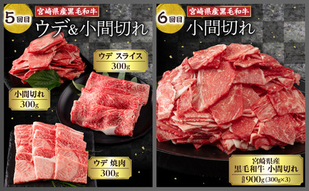 定期便  訳あり 宮崎県産黒毛和牛・豚肉 贅沢6か月コース【豚肉 定期便 訳あり定期便】