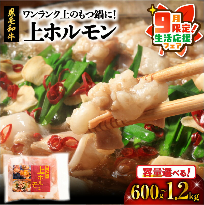 【ふるさと納税】【期間限定 生活応援】＜容量選べる＞ ワンランク上 の もつ鍋 に！ 上ホルモン 600g or 1.2kg 肉 牛 もつ ホルモン 牛肉 黒毛和牛 焼肉 鍋 おかず つまみ 小分け パック 国産 カミチク 鹿児島 鹿児島市 おすすめ ランキング プレゼント ギフト ひょうろく